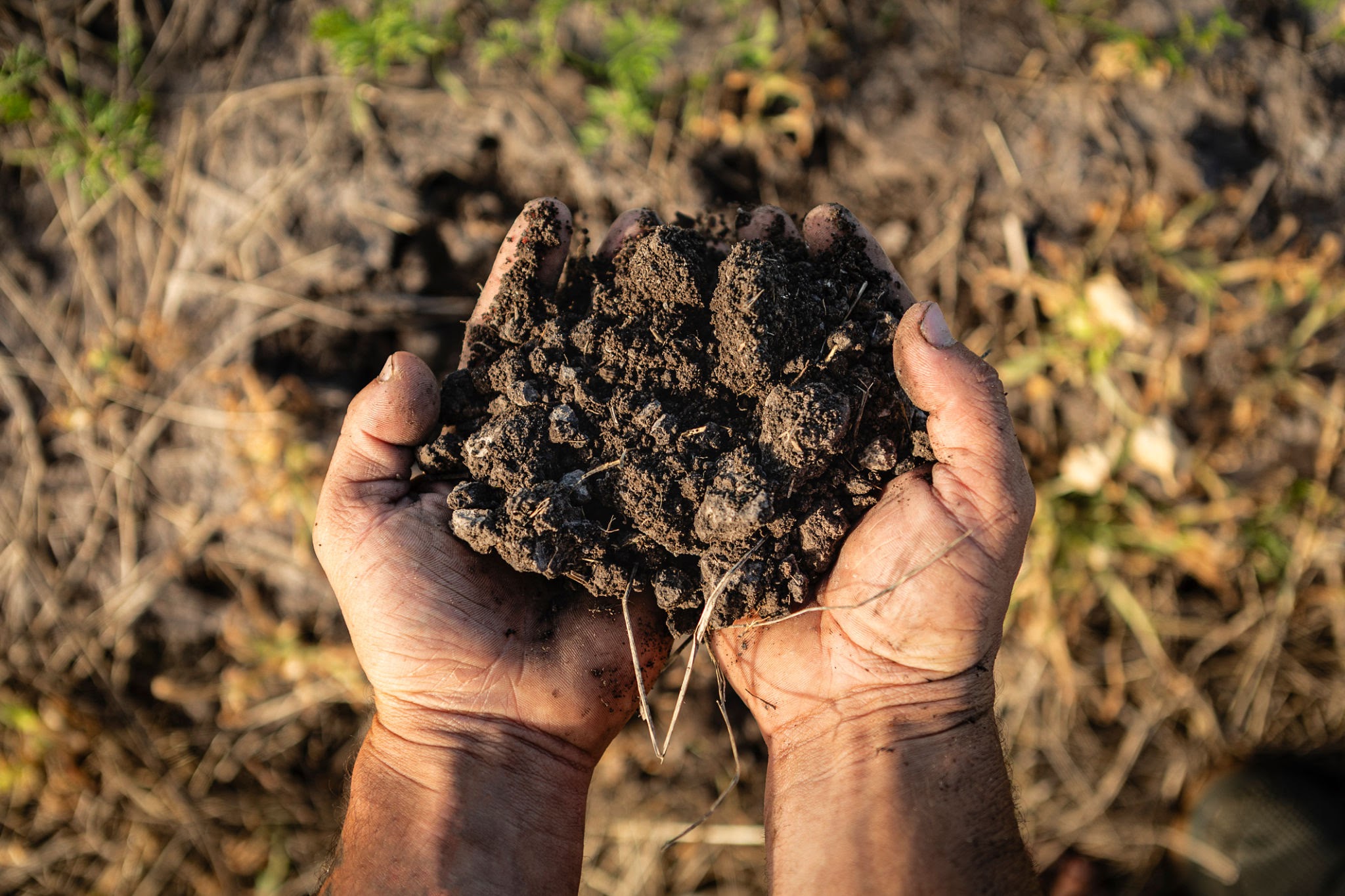 Soil Health Management