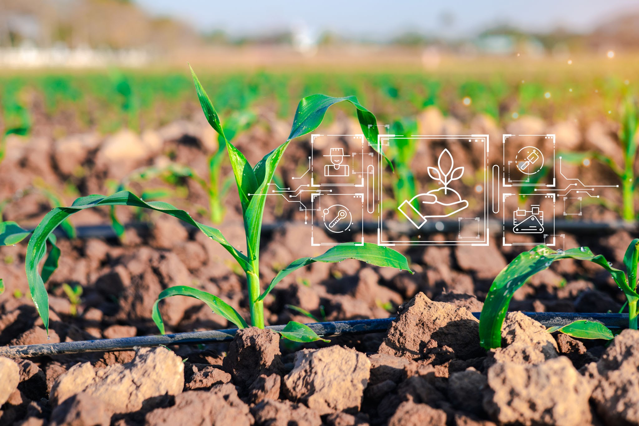 Nutrient Management